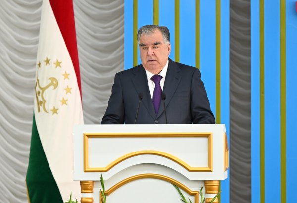 Practical efforts deem necessary to move to green economy - President of Tajikistan