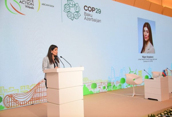 Azerbaijan to introduce new initiative for farmers at COP29