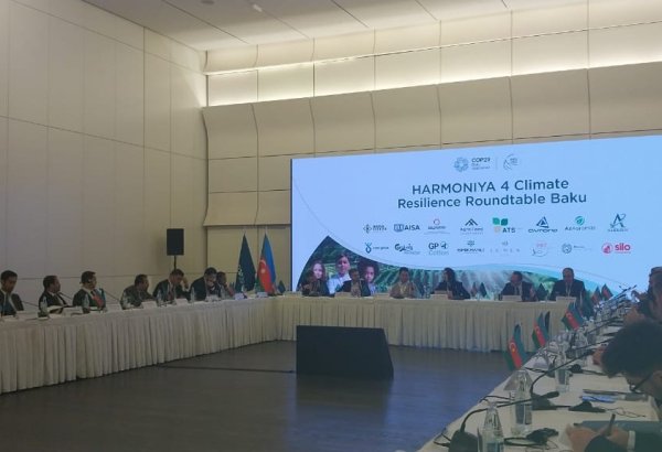 Agriculture accounts for considerable portion of Azerbaijan's exports - AZPROMO