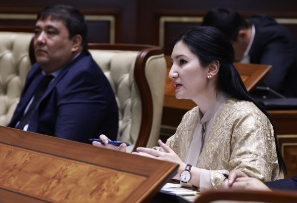 Uzbekistan greenlights law to support creative economy