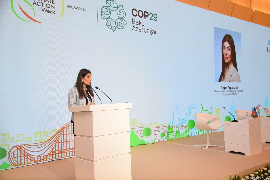 Azerbaijan to introduce new initiative for farmers at COP29
