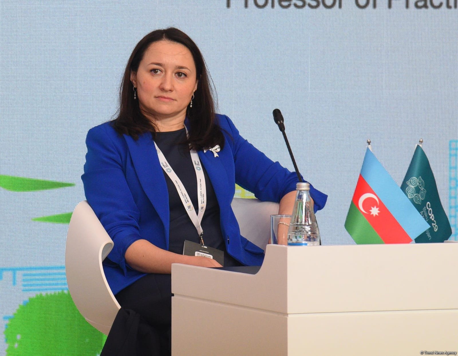 Water level of Caspian Sea steadily declining - COP29 Presidency representative