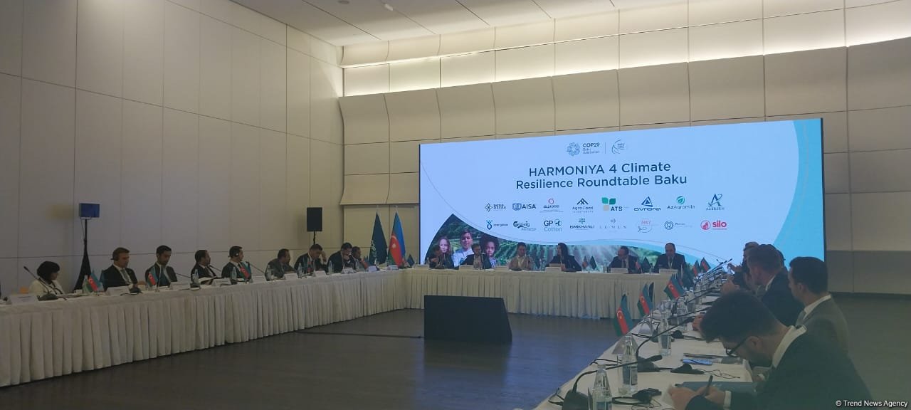 Agriculture accounts for considerable portion of Azerbaijan's exports - AZPROMO
