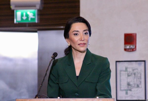 Armenia committed ecocide against Azerbaijan during occupation - ombudsperson
