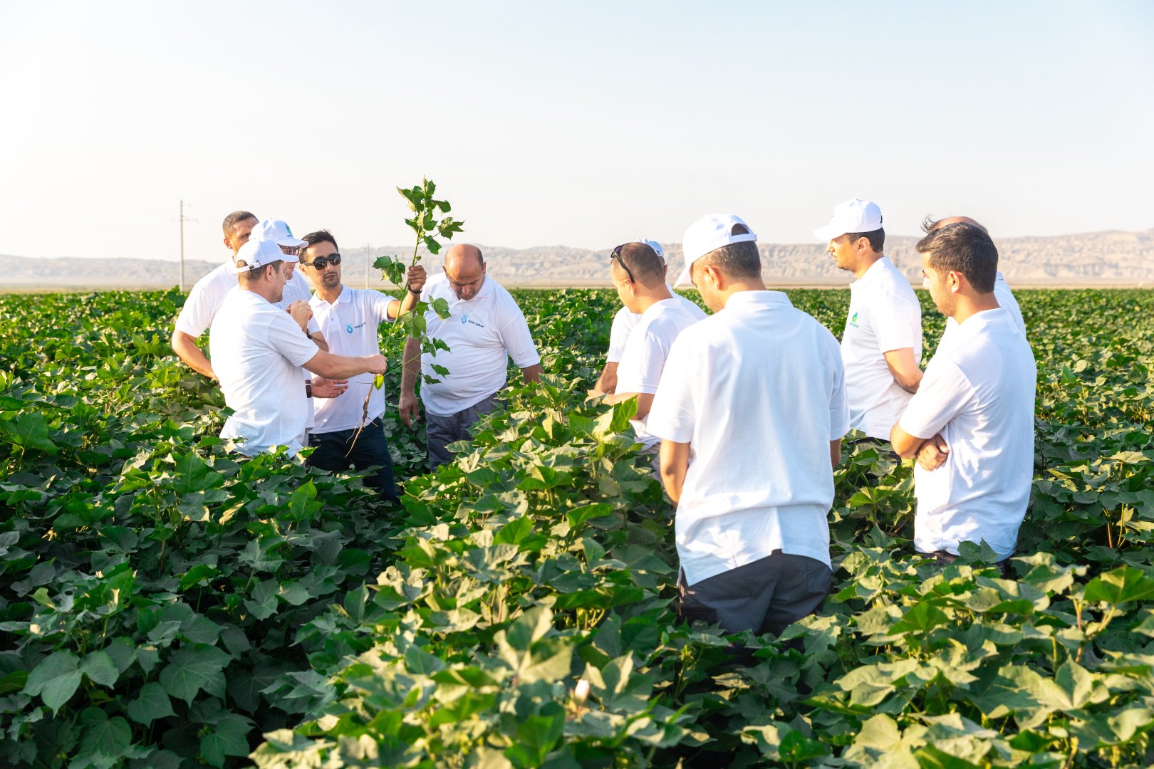 Azerbaijan's Azersheker airs joint project with Uzbek Global Textile (Exclusive) (PHOTO)