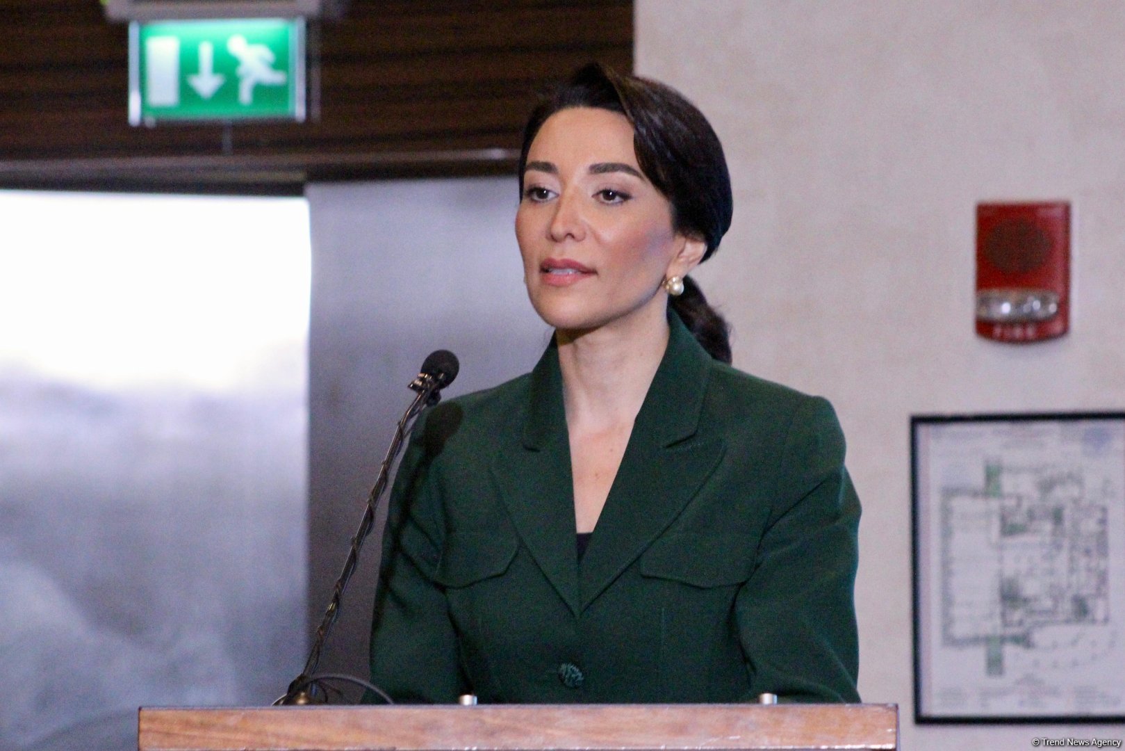First day of International Baku Forum of Ombudsmen on Climate Change and Human Rights wraps up in Azerbaijan (PHOTO)