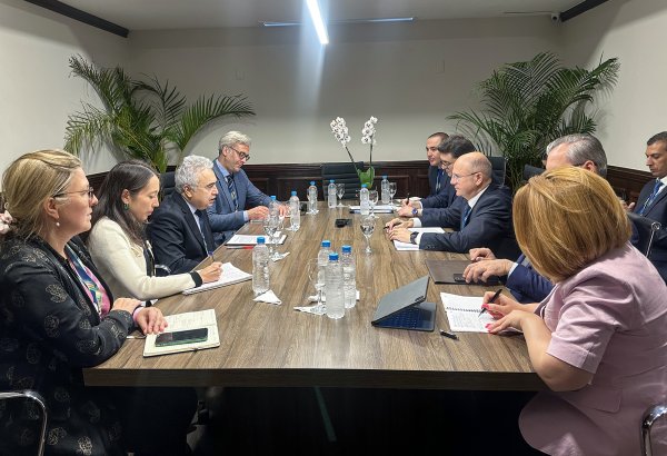 Azerbaijan discusses COP29's agenda with global energy champions in Brazil