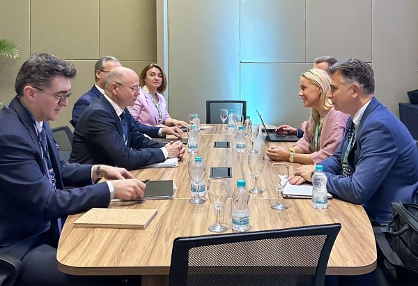 Azerbaijan brainstorms COP29-framed green partnership with EU, UK in Brazil (PHOTO)