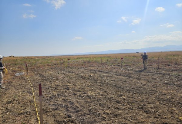 Participants of Int'l Baku Forum of Ombudsmen observe demining process in Azerbaijan's Aghdam