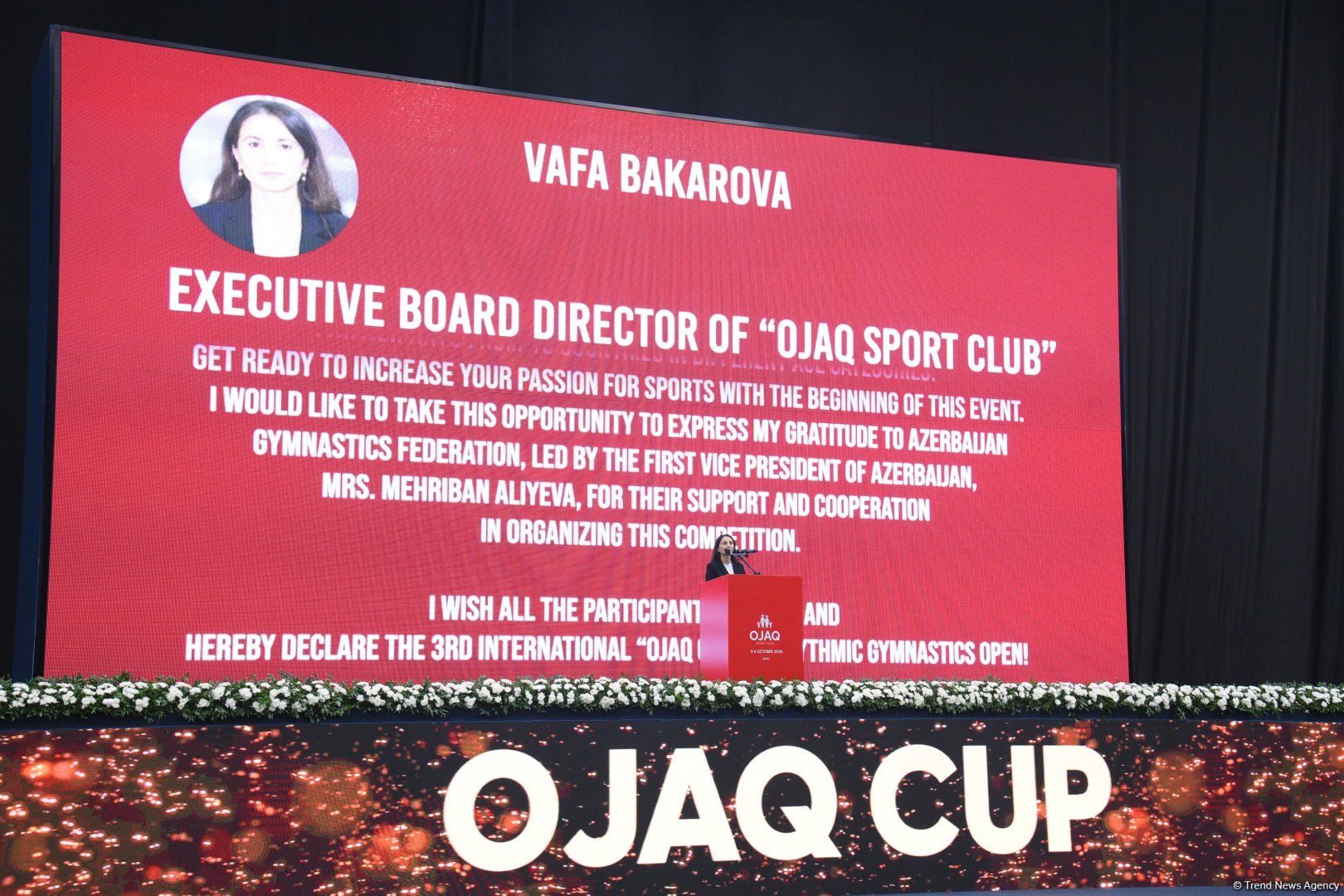 Third Ojag International Cup in Rhythmic Gymnastics kicks off in Baku (PHOTO)