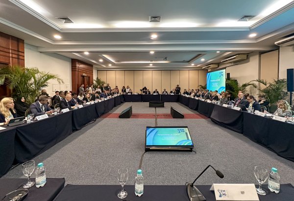 Justice and equality underpin Azerbaijan's energy transition aim - energy minister (PHOTO)