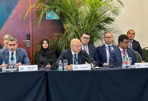 Azerbaijani energy minister outlines key steps for energy transition at meeting in Brazil