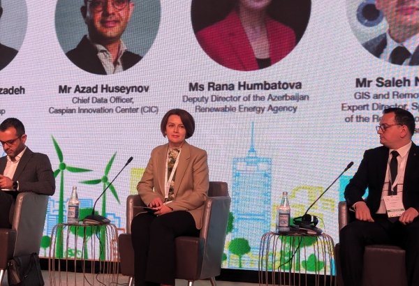Azerbaijan creating national electric mobility development strategy - AREA