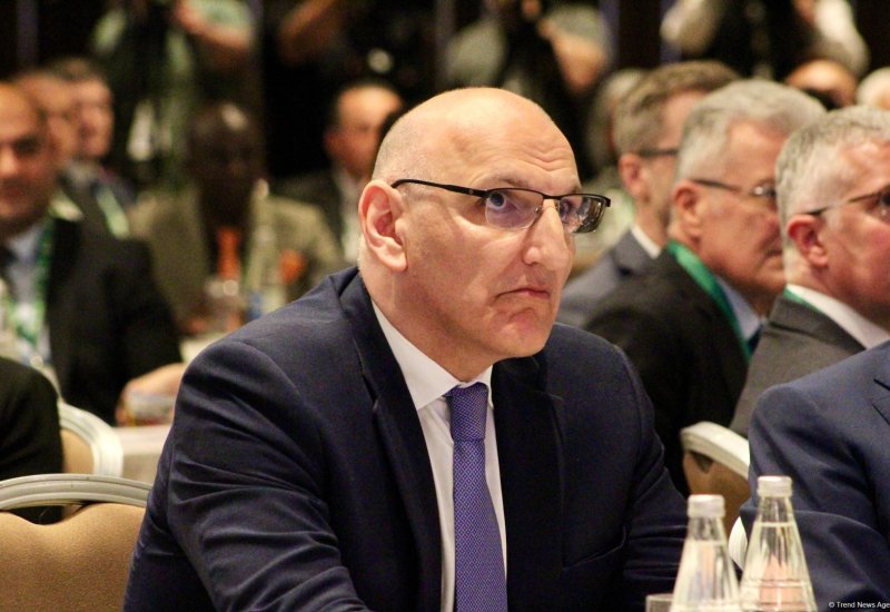 South Caucasus has significant potential for stability and growth - Elchin Amirbayov