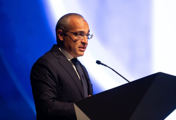 Azerbaijan's digital economy dev't strategy aims to create effective ecosystem - minister