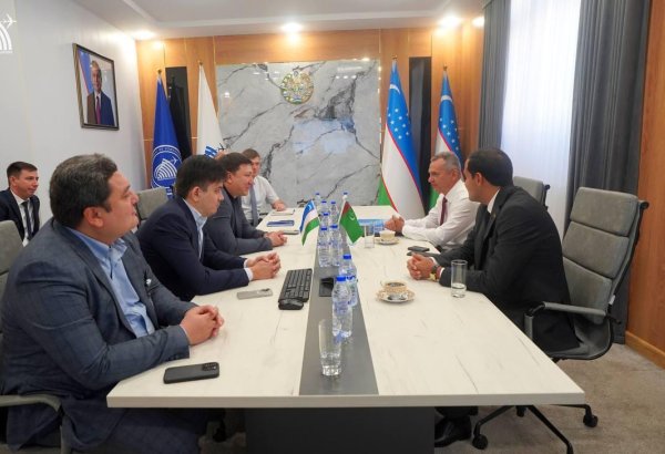Turkmenistan, Uzbekistan debate optimization of air traffic