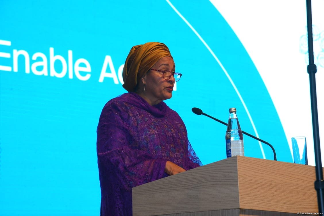 COP29 needs to leverage its potential to turn claims and pledges into outcomes - official