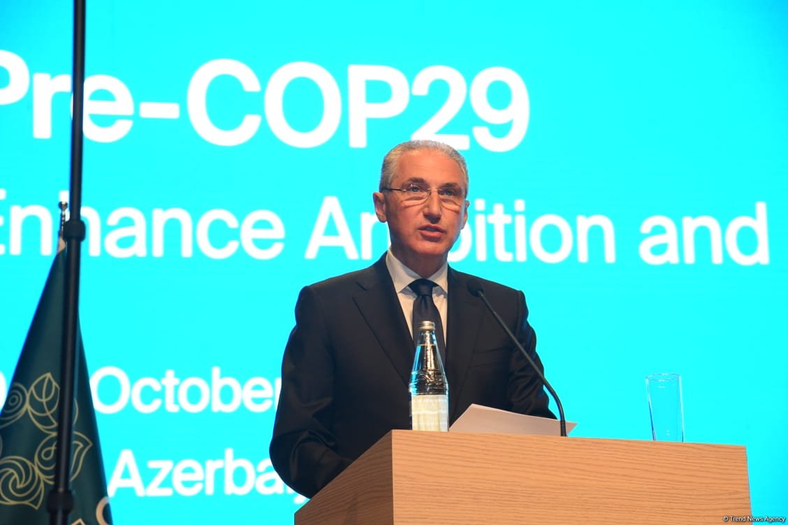 COP29 to play pivotal role in combating climate change - minister