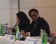 Second day of Pre-COP29 winds up in Azerbaijan's Baku (PHOTO)
