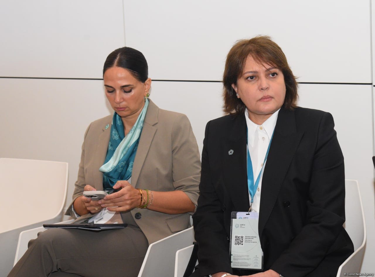 Second day of Pre-COP29 winds up in Azerbaijan's Baku (PHOTO)
