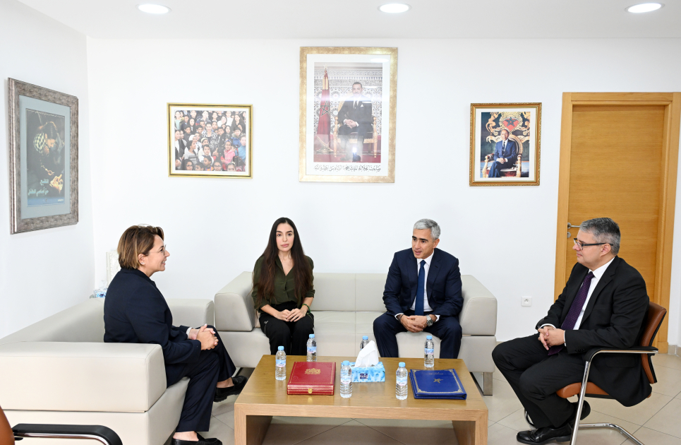 Vice President of Heydar Aliyev Foundation Leyla Aliyeva meets with Vice-President of National Observatory for Rights of Child (ФОТО)