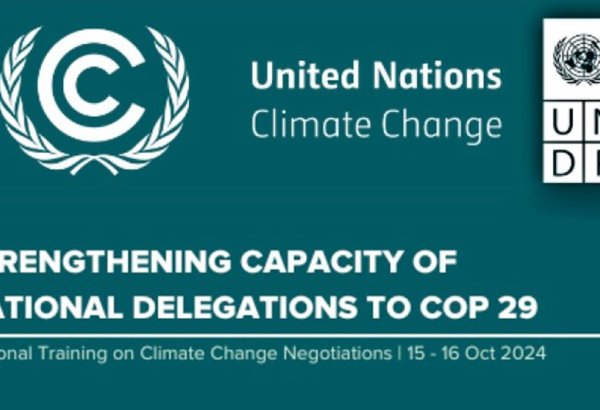 Turkmenistan explores carbon trading trends ahead of COP29