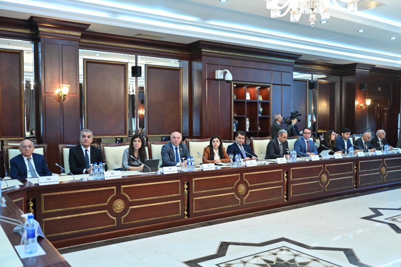 Azerbaijani Parliament addresses hybrid threats ahead of COP29 (PHOTO)