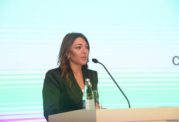 COP29 Heritage Park to embellish Azerbaijan