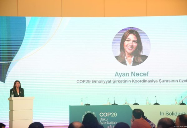 Pre-sessionals for COP29 to kick off from November 4 in Azerbaijan's Baku - official