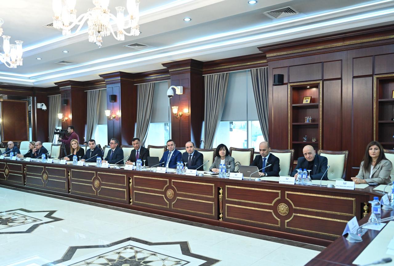 Azerbaijani Parliament addresses hybrid threats ahead of COP29 (PHOTO)