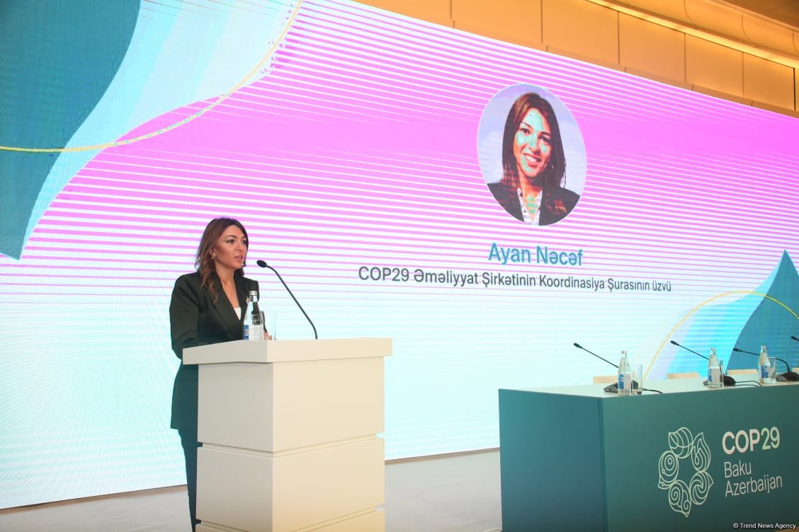 Azerbaijan's Baku hosts seminar on "Understanding and analyzing ESG reports" (PHOTO)