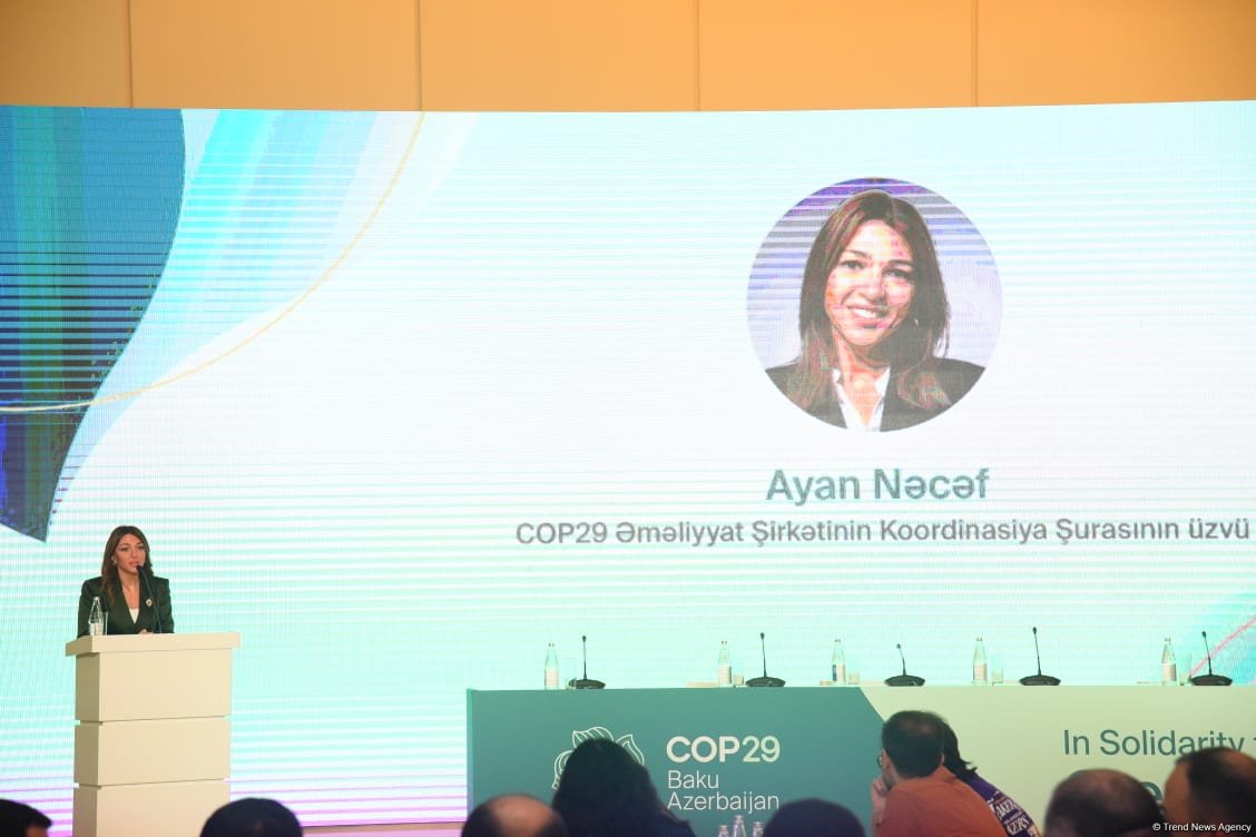 Pre-sessionals for COP29 to kick off from November 4 in Azerbaijan's Baku - official