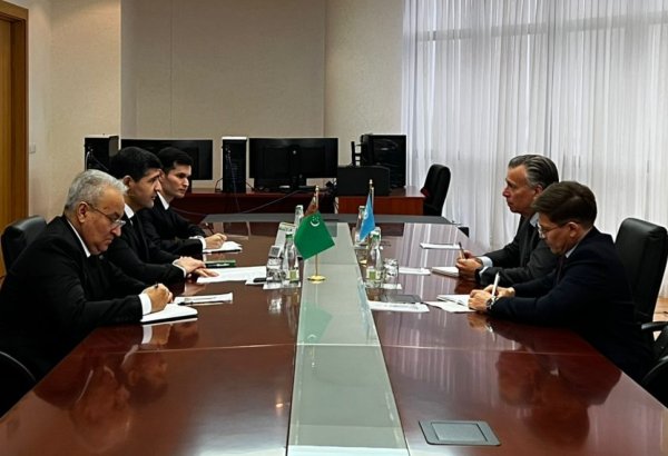 Turkmenistan eyes green energy development through UNECE support