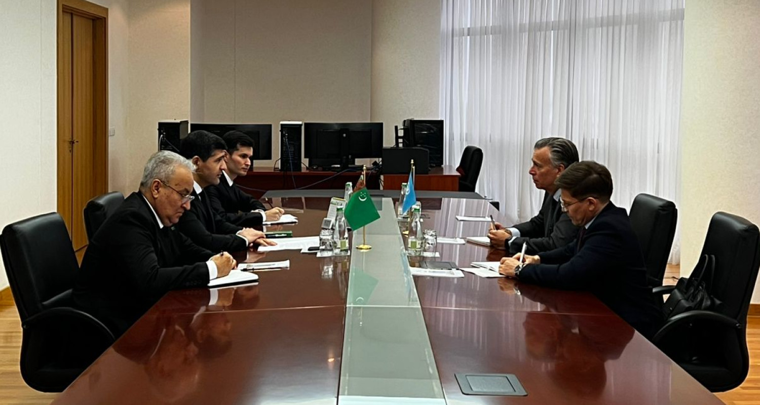 Turkmenistan eyes green energy development through UNECE support