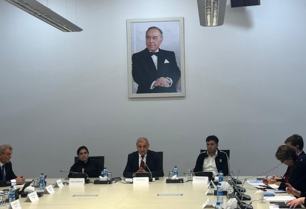 Azerbaijan's Baku hosts roundtable dedicated to mine victims (PHOTO)