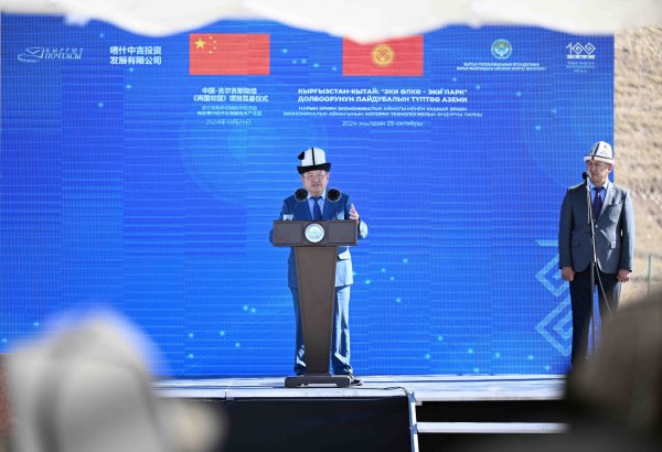 Kyrgyzstan's Naryn region starts construction of several plants