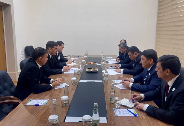 Turkmenistan, Uzbekistan to reinforce energy cooperation