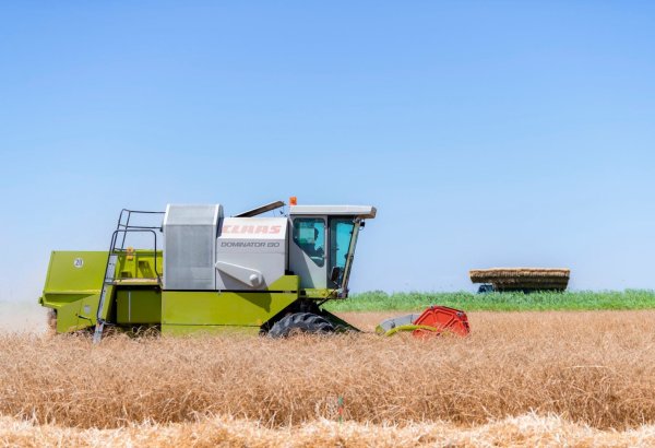Azerbaijan ramps up its wheat importation efforts