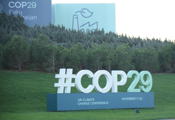 COP29 makes decision on work program under Paris Agreement's non-market approaches