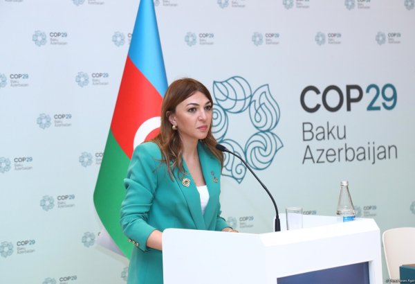 Azerbaijan fully meets environmentally friendly, resilient energy needs to equip COP zones