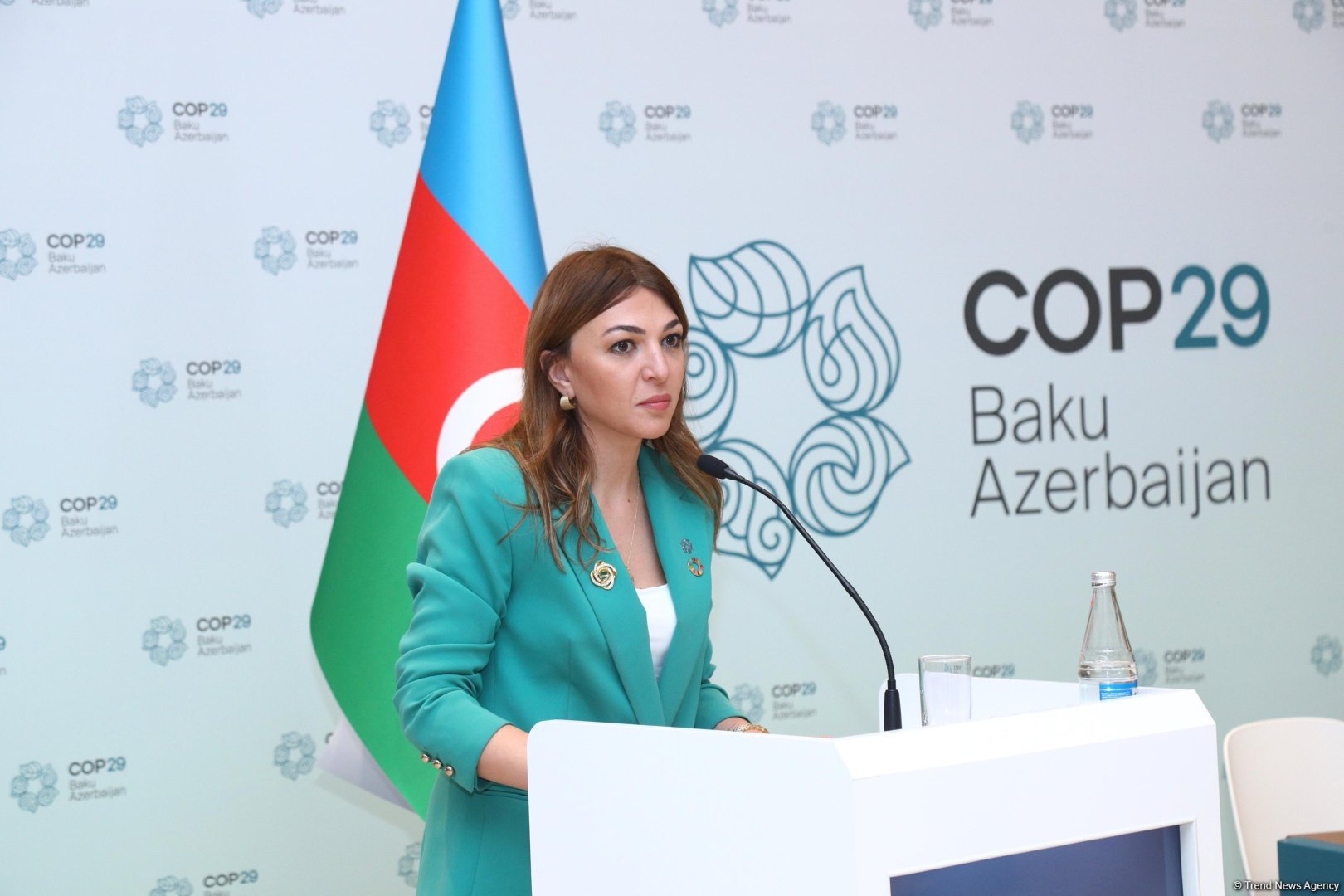 Azerbaijan fully meets environmentally friendly, resilient energy needs to equip COP zones