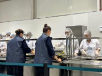 Azerbaijan's Baku Olympic Stadium packs range of cafes and restaurants for COP29 (PHOTO)