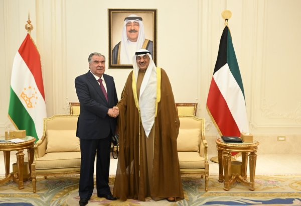 Tajikistan seeks Kuwaiti investments to enhance its agricultural exports