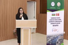Denmark hosts event dedicated to Azerbaijan's Victory Day (PHOTO)