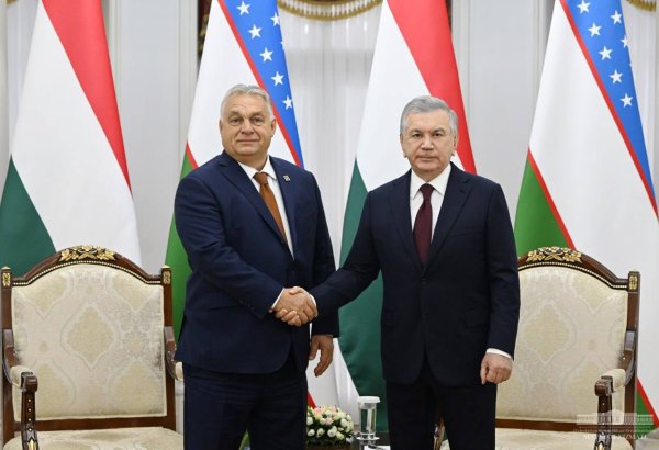 Uzbekistan, Hungary brainstorm creating new portfolio of diversified co-op projects