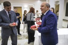Belarus holds pomegranate festival (PHOTO)