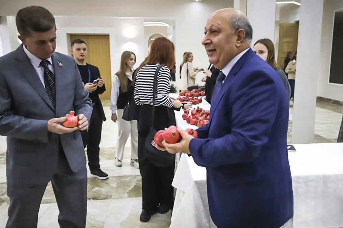 Belarus holds pomegranate festival (PHOTO)