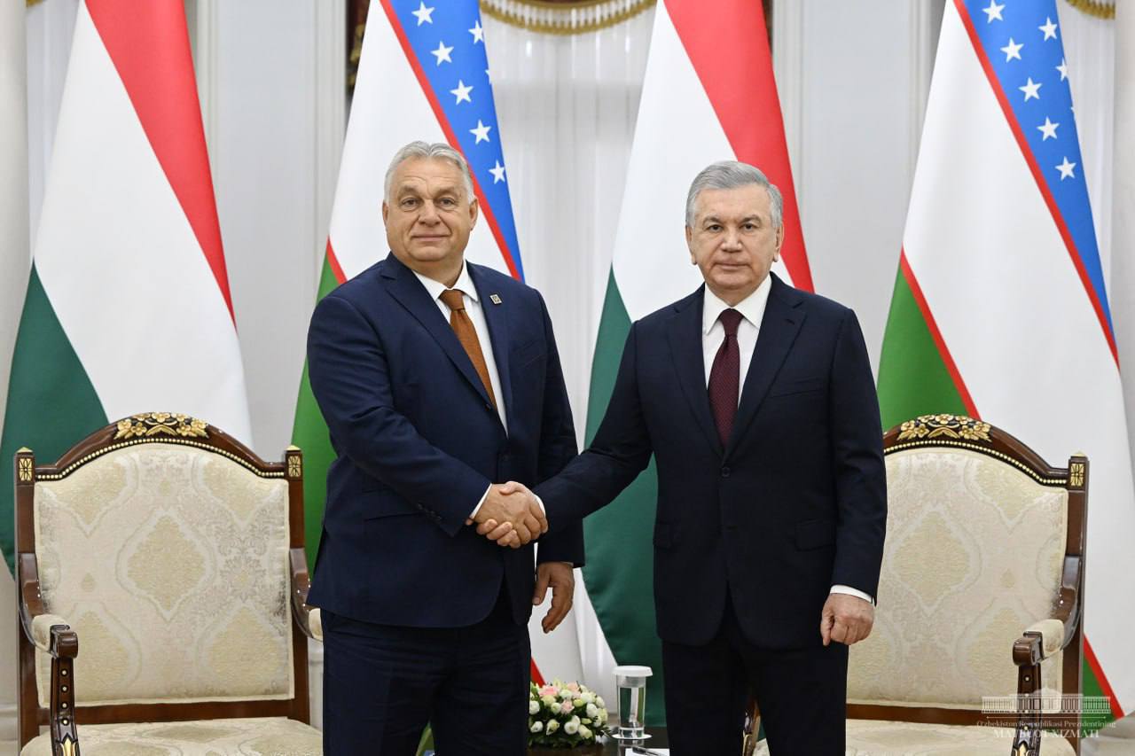 Uzbekistan, Hungary brainstorm creating new portfolio of diversified co-op projects