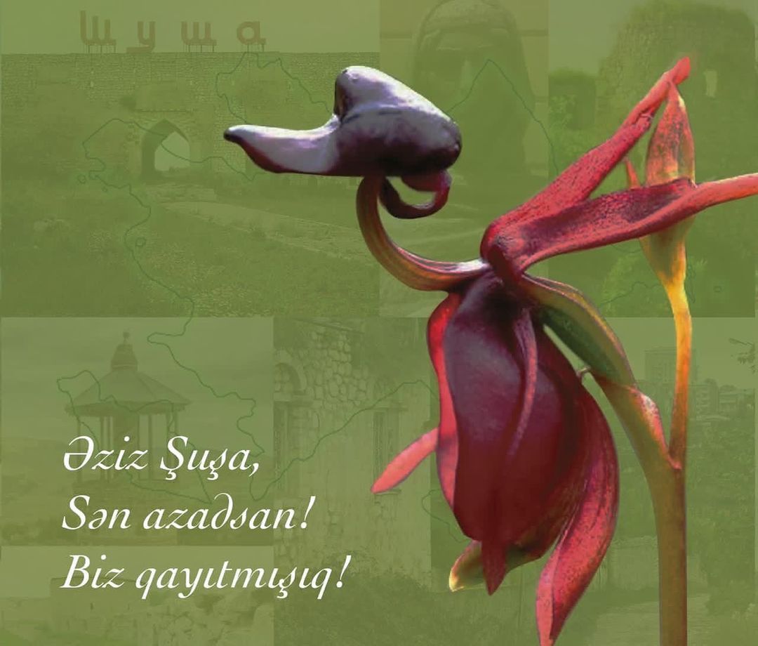 Chronicles of Victory (08.11.24): First VP Mehriban Aliyeva congratulates Azerbaijani people on liberation of Shusha (PHOTO)