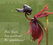 Chronicles of Victory (08.11.24): First VP Mehriban Aliyeva congratulates Azerbaijani people on liberation of Shusha (PHOTO)